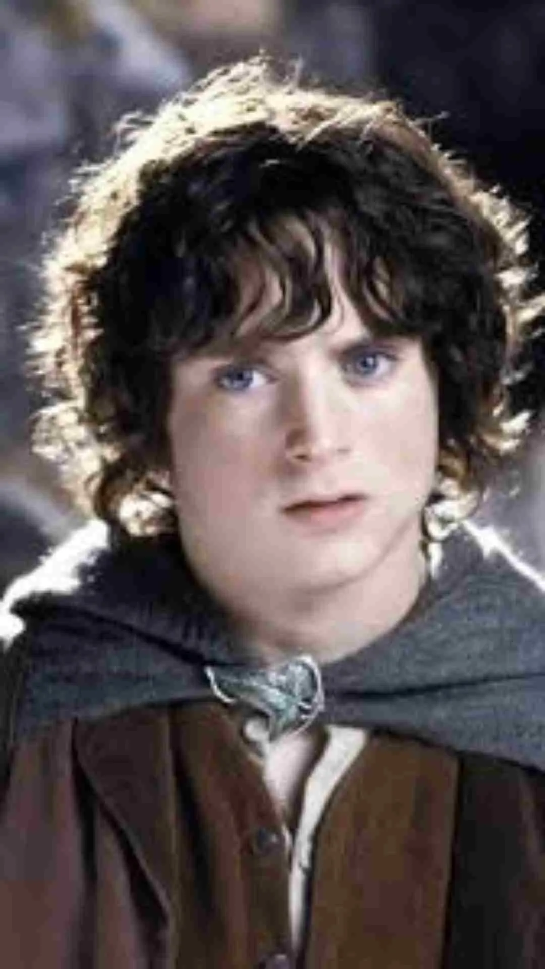 Frodo Baggins 